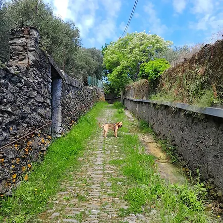 Attico Sul Mare By Smart-home