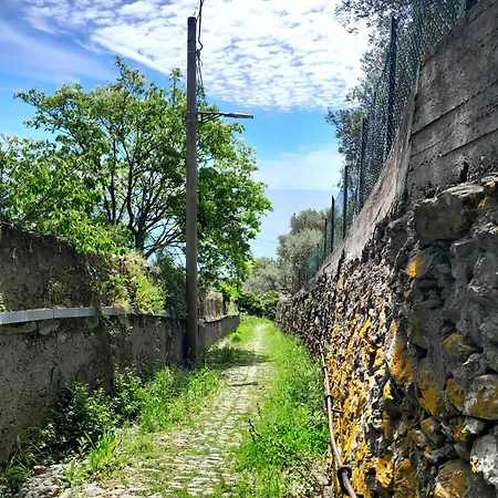 Attico Sul Mare By Smart-home Apartamento